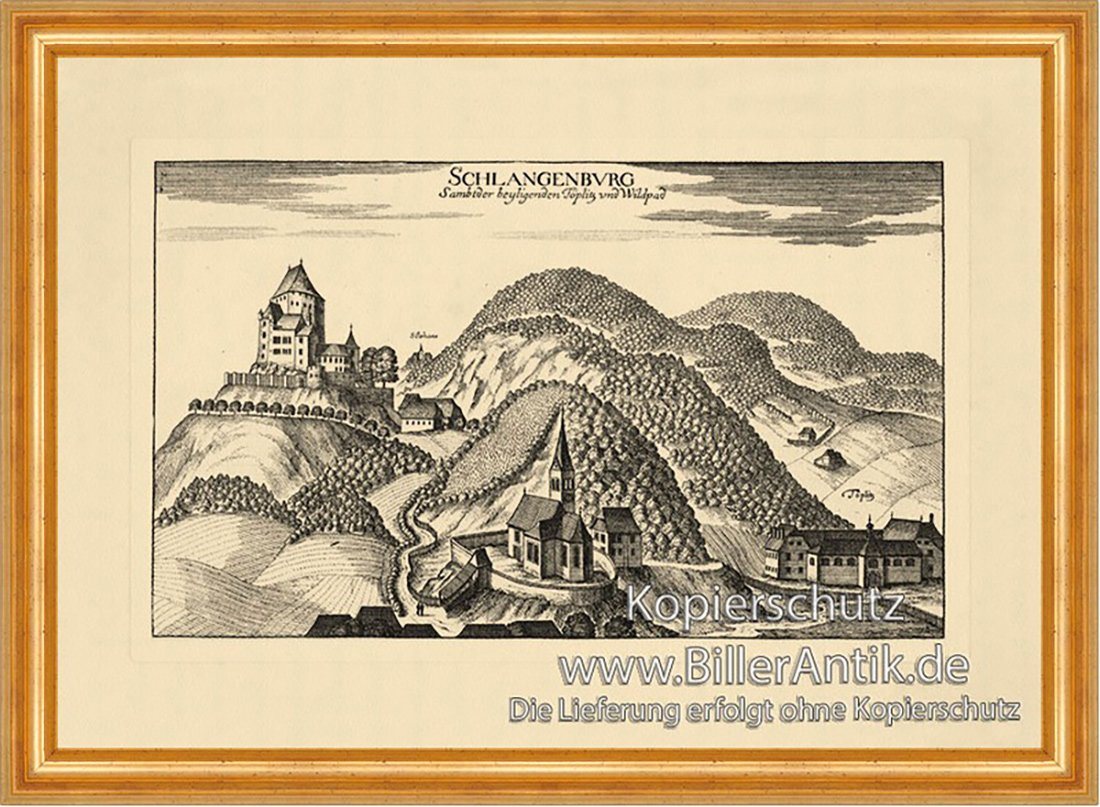 Kunstdruck Schlangenburg bei Cilli Vischer Österreich Burgen und Schlösser 882 Ge, (1 St) von OTTO