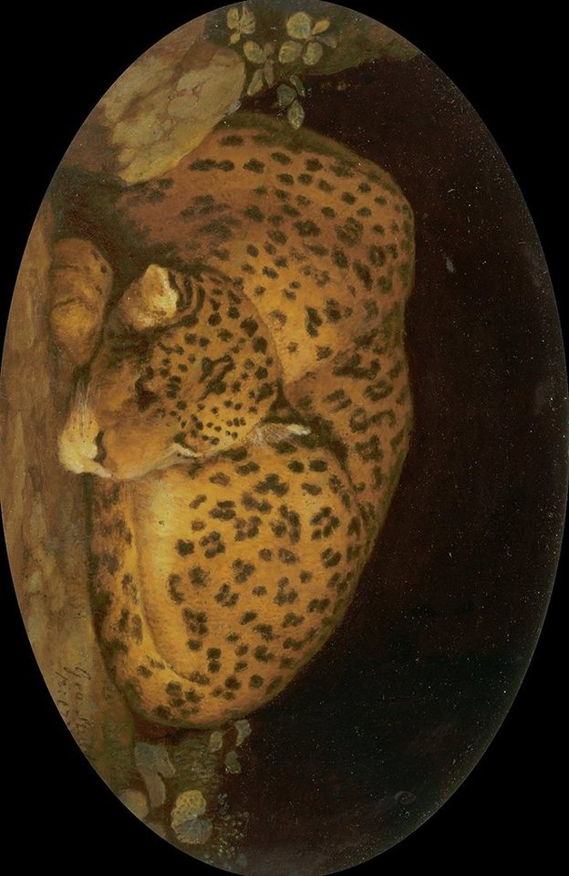 Kunstdruck Sleeping Leopard George Stubbs Fell Tiere Schlafen Raubkatzen Tupfen B, (1 St) von OTTO