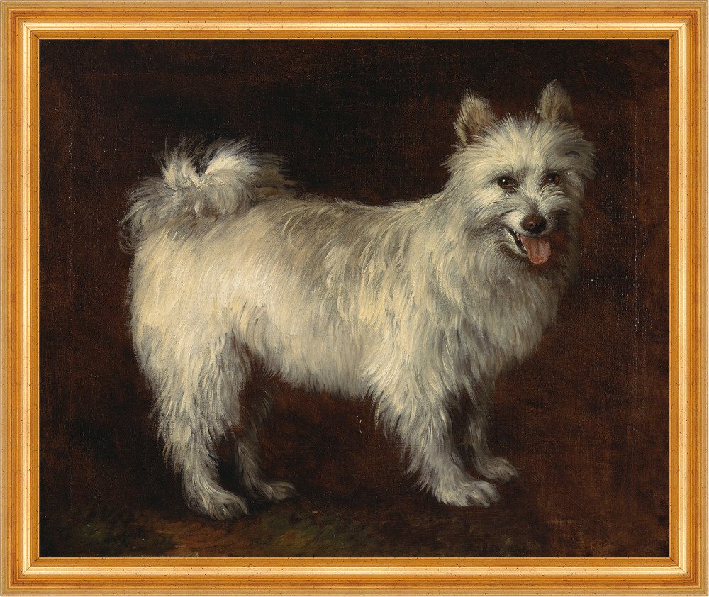 Kunstdruck Spitz Dog Thomas Gainsborough Hunde Tiere Fell Hecheln Rassen B A3 032, (1 St) von OTTO