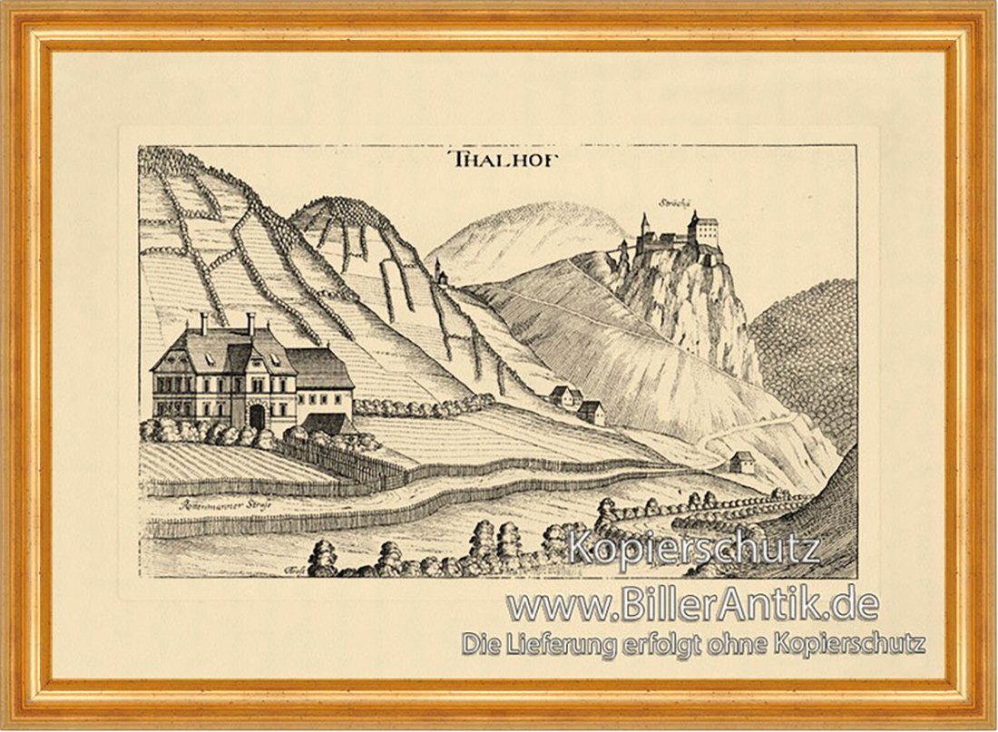 Kunstdruck Thalhof bei Rottenmann Tauern Vischer Österreich Burgen u. Schlösser 9, (1 St) von OTTO