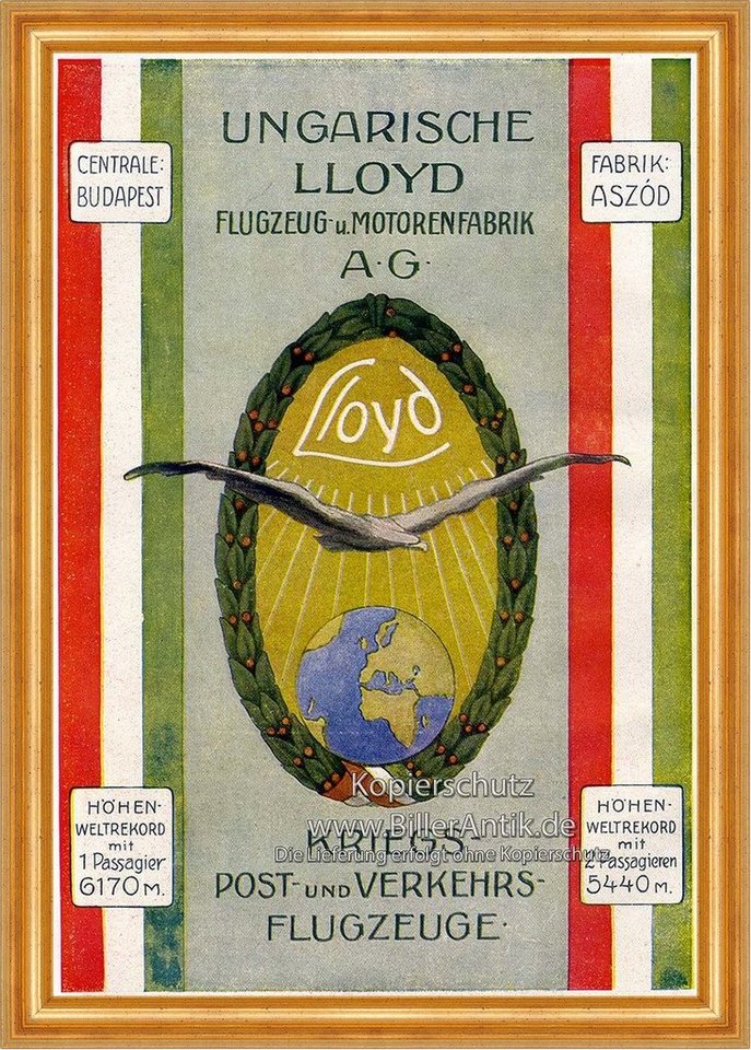 BillerAntik Kunstdruck Ungarische Lloyd Post- Verkehrsflugzeuge Plakat Braunbeck Motor A3 093, (1 St) von BillerAntik