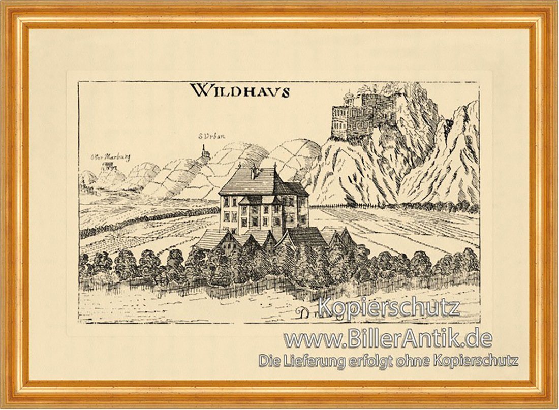 Kunstdruck Wildhaus bei Marburg Matthäus Vischer Österreich Burgen u. Schlösser 9, (1 St) von OTTO