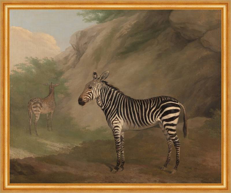 BillerAntik Kunstdruck Zebra Jacques-Laurent Agasse Tiere Streifen Felsen Pferd Bäume Berg B, (1 St) von BillerAntik