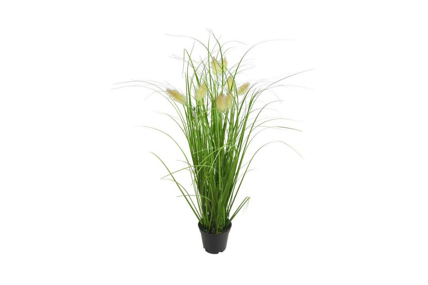 Kunstpflanze Gras im Topf mit Fuchsschwanz, ca. 58 cm, Höhe 58 cm von OTTO