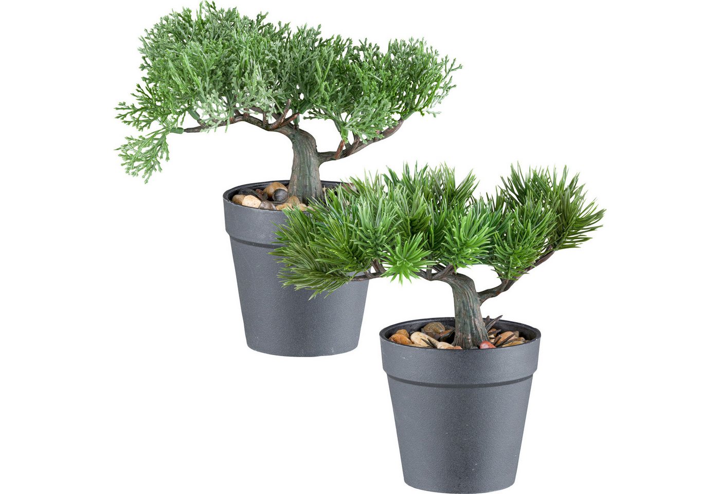Kunstpflanze Kunstpflanze Bonsai Kiefer/Zeder 2er-Set, Uni von OTTO