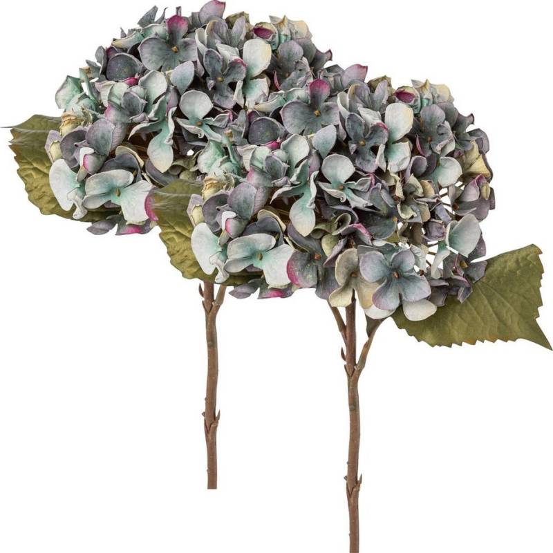 Kunstpflanze Kunstpflanze Hortensie 2er-Pack Kunstpflanze Kunstpflanze Hortensie 2er-Pack von OTTO