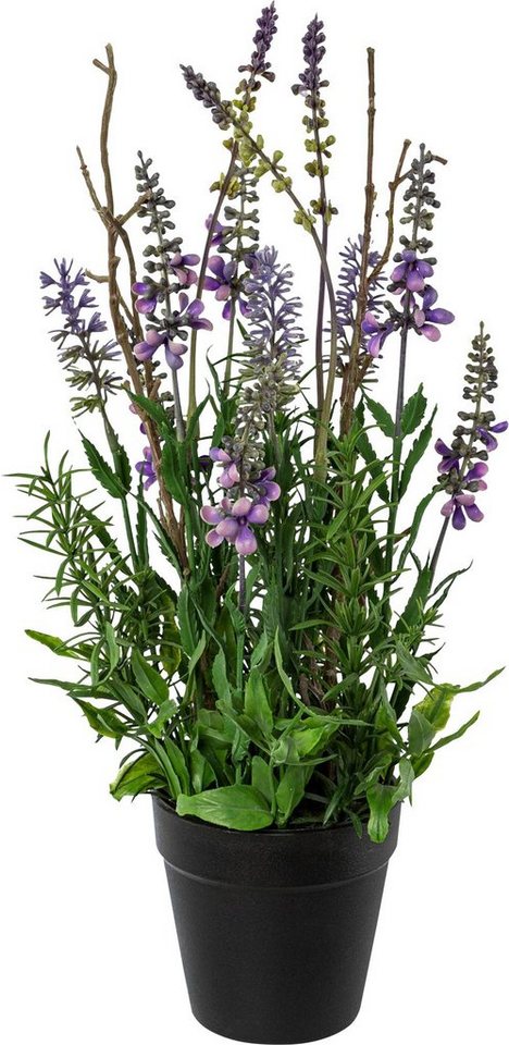 Kunstpflanze Kunstpflanze Lavendel Kunstpflanze Kunstpflanze Lavendel von OTTO