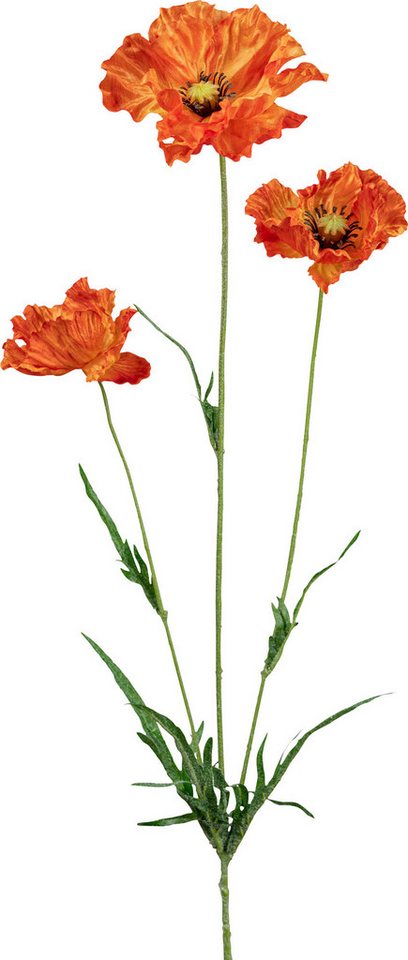 Kunstpflanze Kunstpflanze Mohn Kunstpflanze Kunstpflanze Mohn von OTTO
