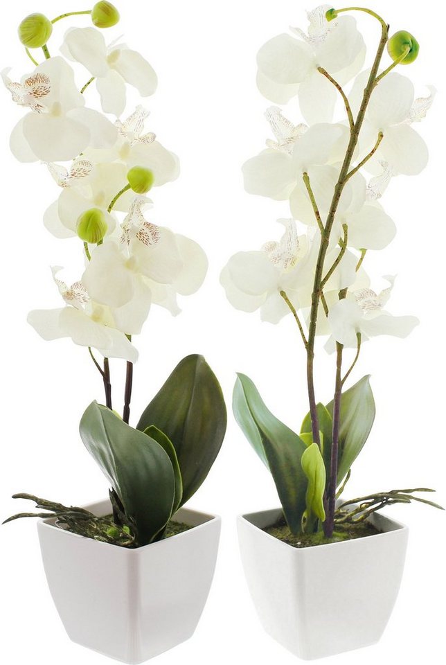 Kunstpflanze Kunstpflanze Orchidee 2er-Pack von OTTO