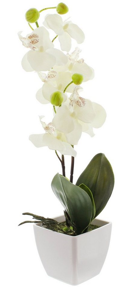 Kunstpflanze Kunstpflanze Orchidee von OTTO