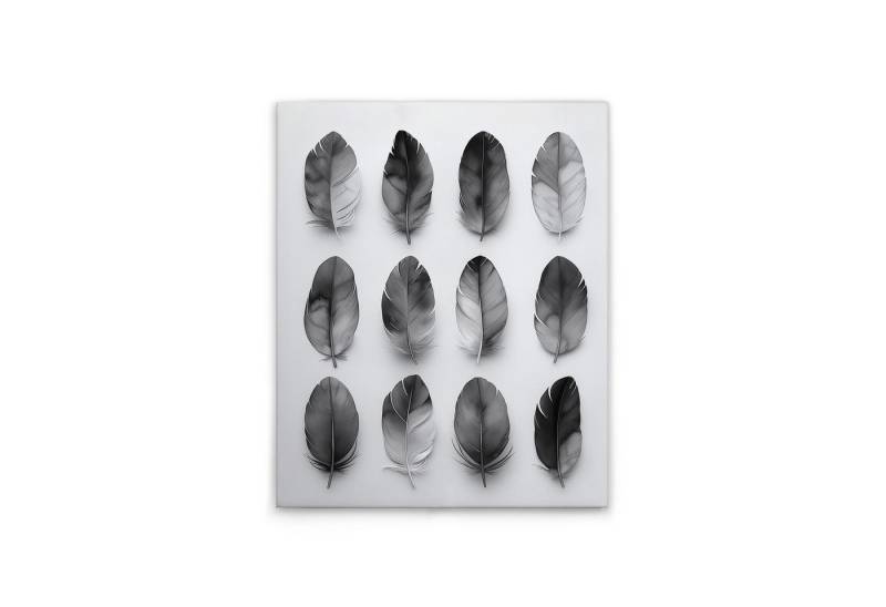 Tadessi Leinwandbild Federn - Kunstdruck - M1-No.51796, Tiere Tadessi Leinwandbild Federn - Kunstdruck - M1-No.51796, Tiere von Tadessi