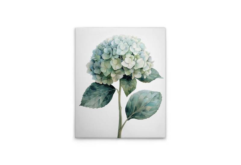 Tadessi Leinwandbild Hortensie - Kunstdruck - M1-No.51823, Natur Tadessi Leinwandbild Hortensie - Kunstdruck - M1-No.51823, Natur von Tadessi