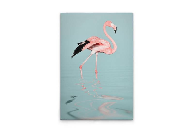 Tadessi Leinwandbild Leinwandbild Flamingo im Wasser M1-No.51071, Keilrahmen in Blau Rosa-, Tiere Tadessi Leinwandbild Leinwandbild Flamingo im Wasser M1-No.51071, Keilrahmen in Blau Rosa-, Tiere von Tadessi