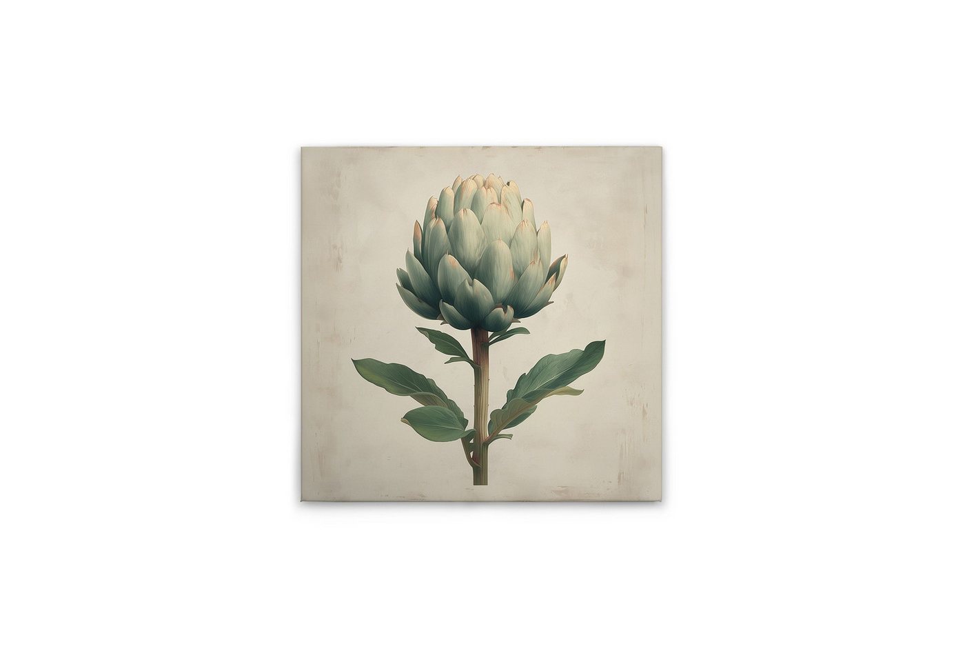 Tadessi Leinwandbild Leinwandbild Küchenmotiv Artischocke M1-No.51826, Keilrahmen in Creme, Natur Tadessi Leinwandbild Leinwandbild Küchenmotiv Artischocke M1-No.51826, Keilrahmen in Creme, Natur von Tadessi