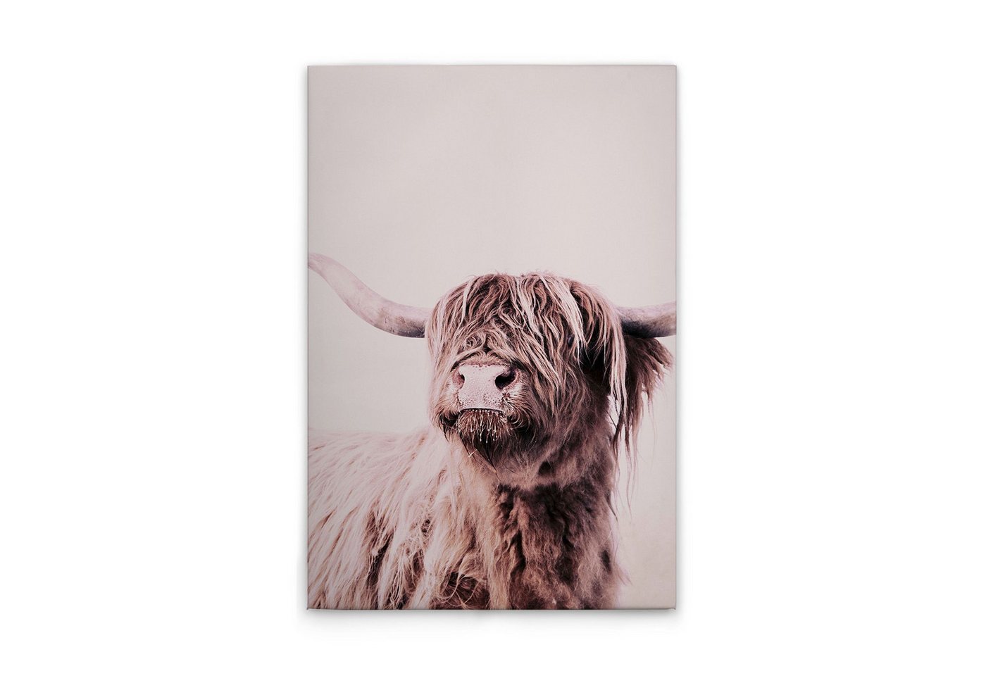 Tadessi Leinwandbild Leinwandbild Kuh Beige M1-No.50762, Keilrahmen in Creme Beige-Parent, Tiere Tadessi Leinwandbild Leinwandbild Kuh Beige M1-No.50762, Keilrahmen in Creme Beige-Parent, Tiere von Tadessi