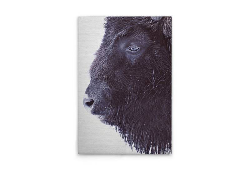 Tadessi Leinwandbild Leinwandbild Tiere Büffel M1-No.51081, Keilrahmen in Schwarz Weiß-Par, Tiere Tadessi Leinwandbild Leinwandbild Tiere Büffel M1-No.51081, Keilrahmen in Schwarz Weiß-Par, Tiere von Tadessi