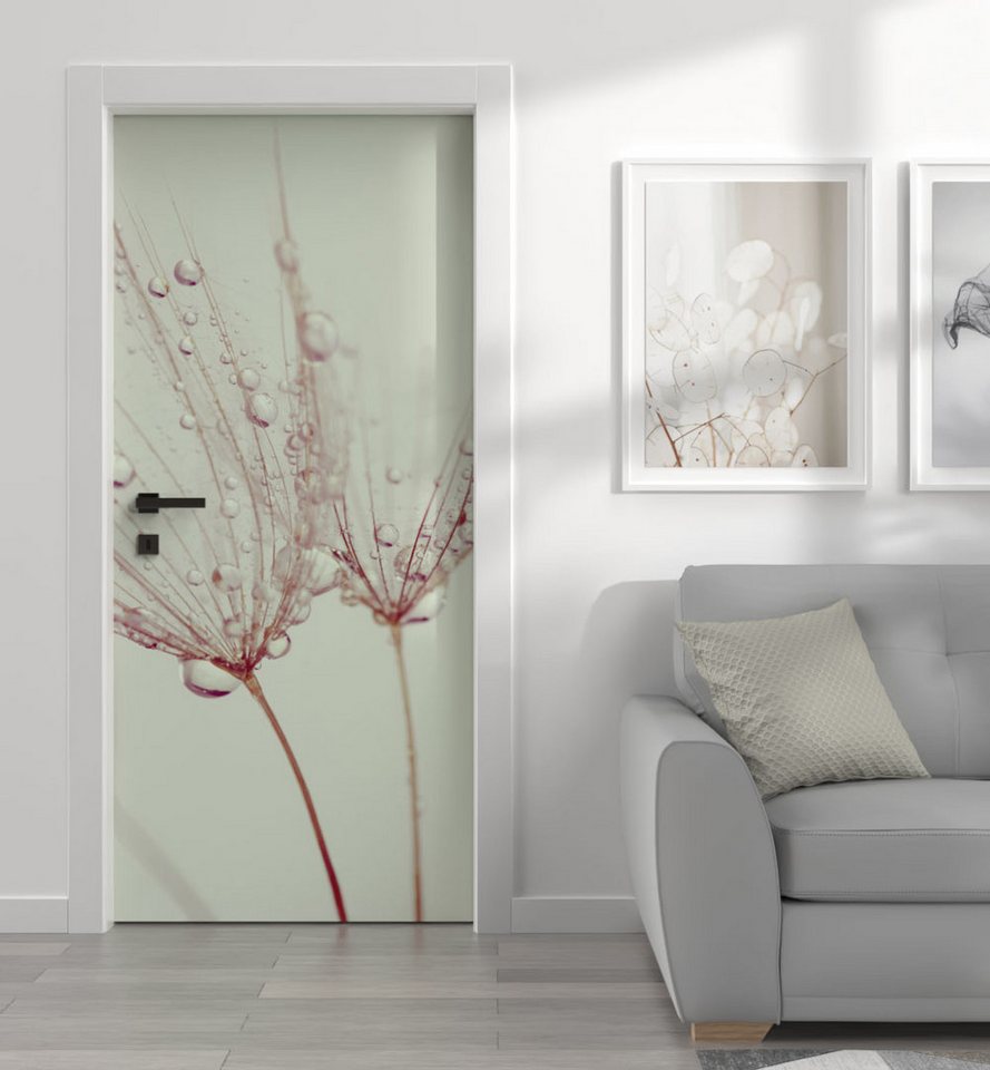 MyMaxxi Dekorationsfolie Türtapete Türposter Türfolie selbstklebend Pusteblume Tau Türaufkleber, (Stil 78, 1St.}, Klebefolie Tür aufgerollt), Selbstklebend von MyMaxxi
