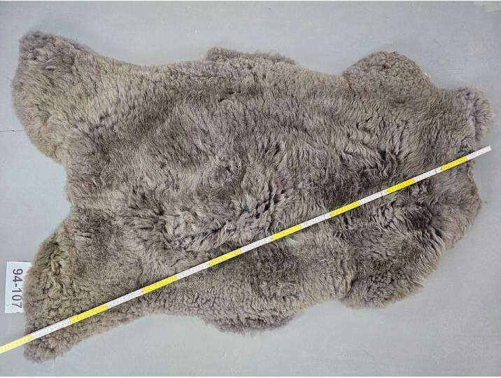 Provellus Fellteppich Schaffell grau XXL ca. 150cm Unikat 94-107 Provellus Fellteppich Schaffell grau XXL ca. 150cm Unikat 94-107 von OTTO