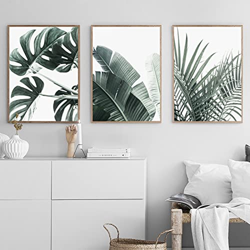 OTURRI Skandinavisches Monsterblatt Wand Bilder botanisches Poster Pflanze Leinwand Gemälde natürliches Wandbild für Wohnzimmer Heimdekoration 40 x 60 cm x 3 ungerahmt OTURRI Skandinavisches Monsterblatt Wand Bilder botanisches Poster Pflanze Leinwand Gemälde natürliches Wandbild für Wohnzimmer Heimdekoration 40 x 60 cm x 3 ungerahmt von OTURRI