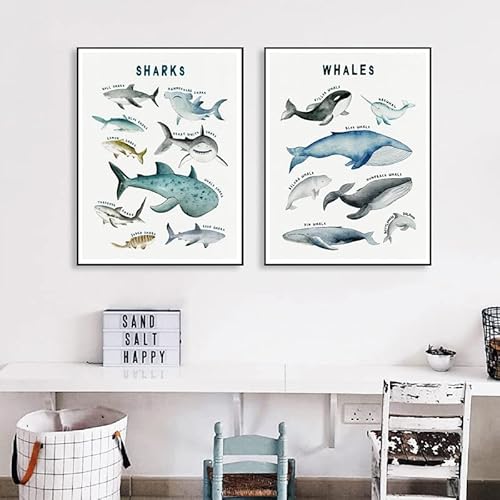 Wale und Haie Arten Wandkunst Meerestiere Pädagogisches Poster Drucken Ozean Meer Leinwand Gemälde Kinderzimmer Dekorative Bilder 30 x 50 cm x 2 ungerahmt von OTURRI