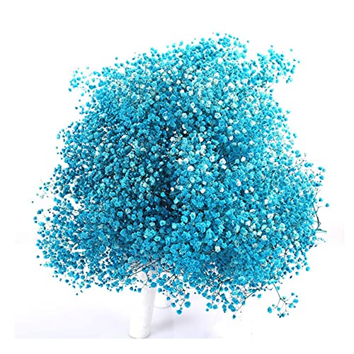 Babys-Breath-Bouque getrocknete Blumen, 43,7 cm, 2000 + elfenbeinfarbene weiße Blumen, natürliche Schleierkrautzweige für Hochzeit, Tischvase, DIY-Kranz, Blumen, Heimbüro, Party, Gartendekoration von OUKEYI