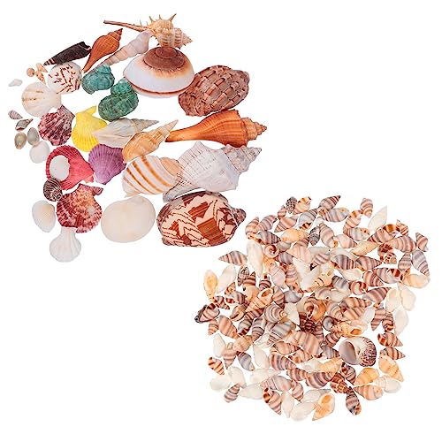 OUNONA 1 Satz Shell Decoration Set Ornament Muschel Dekorationen Strand Meeresschnecken Hülse OUNONA 1 Satz Shell Decoration Set Ornament Muschel Dekorationen Strand Meeresschnecken Hülse von OUNONA