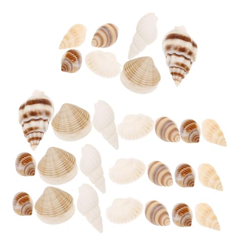 OUNONA 1 Schachtel Muscheln Masse Kleine Muscheln Zum Basteln Handwerk Meeresmuscheln Natur Winzige Muscheln Mini Muscheln Am Strand Muschelverzierung Ornamente Aquarium Für Hülse von OUNONA