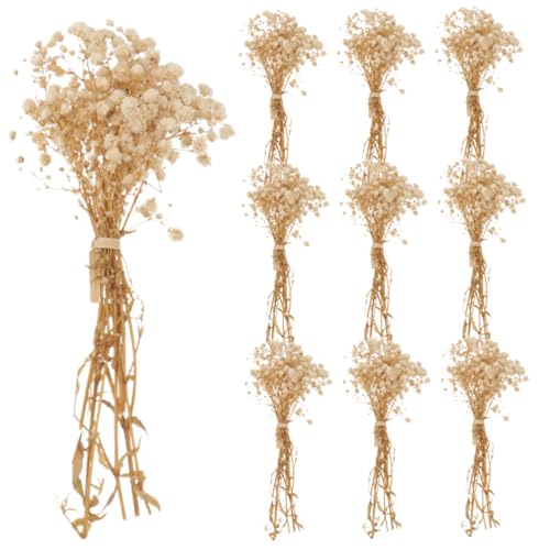 OUNONA 10 Schleierkraut Kleiner Strauß Masse Gefälschte Blumen Vase Getrocknete Zweige Natürlicher Trockenblumenstrauß Formen Mini Getrocknete Blumen Kleine Vase Braut von OUNONA