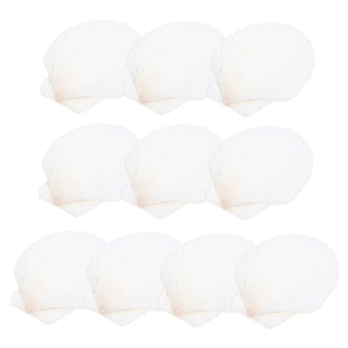 OUNONA 10 Stück Teiliges Set Große Weiße Muscheln Natürliche Deko für DIY Bastelprojekte für Aquarien und Hausdekoration OUNONA 10 Stück Teiliges Set Große Weiße Muscheln Natürliche Deko für DIY Bastelprojekte für Aquarien und Hausdekoration von OUNONA