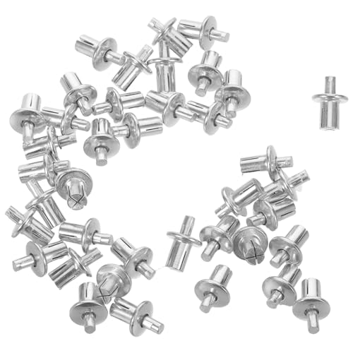 OUNONA 200 Stück Aluminium Schlagnieten mit Flachrundkopf Schnell Montierbare Expansionsnieten für Auto Möbel Industrie und Maschinenbau OUNONA 200 Stück Aluminium Schlagnieten mit Flachrundkopf Schnell Montierbare Expansionsnieten für Auto Möbel Industrie und Maschinenbau von OUNONA