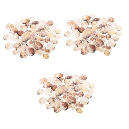 OUNONA 3 Stück 1 Muscheldekoration Kleine Muscheln Zum Basteln Farbige Mini Aquarium Kiesbehälter Muschelschale Dekorationsfüller Mit Material Winzige Thematische Muschel von OUNONA
