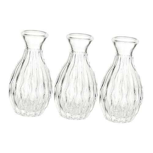 OUNONA 3stücke Diffusorflaschen Mit Breiter Öffnung Für Ätherische Öle Und Flüssigkeiten Vielseitig Einsetzbar Als Duftflasche Dekoration Oder Vase Transparent Und Einfach Zu von OUNONA