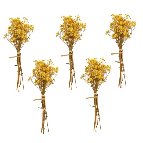 OUNONA 5 Stück Teiliges Gypsophila Natürlicher Schleierkraut Bouquet Farbenfrohe Trockenblumen für DIY Blumenarrangement Geschenkbox Dekoration Elegante Home Decor Akzente OUNONA 5 Stück Teiliges Gypsophila Natürlicher Schleierkraut Bouquet Farbenfrohe Trockenblumen für DIY Blumenarrangement Geschenkbox Dekoration Elegante Home Decor Akzente von OUNONA