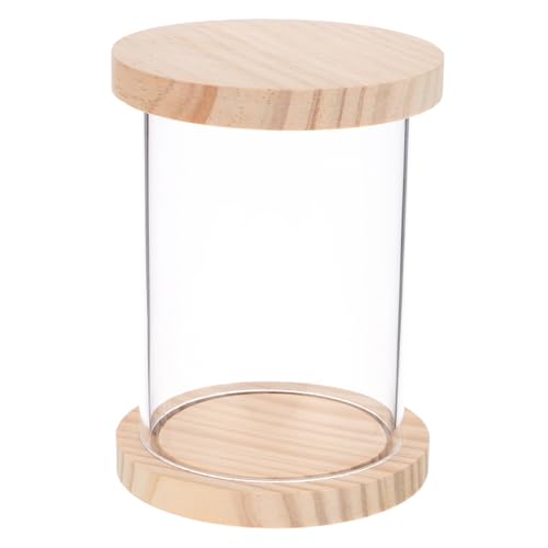 OUNONA Mini-Tragetasche Schrank Figuren vitrine -Vitrine Puppen Präsentationsbox Figuren Schaukasten Miniaturen-Vitrine Miniatur-Aufbewahrungsbox Acryl Beige von OUNONA