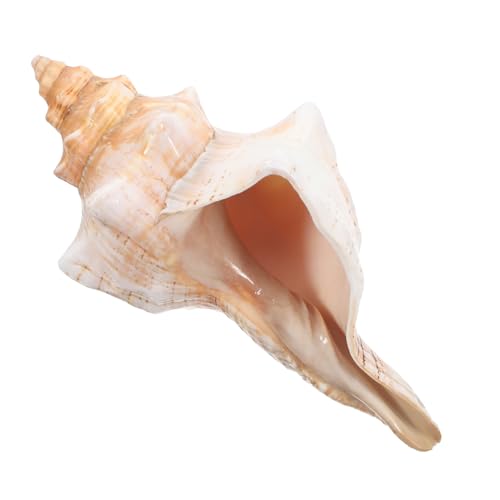 OUNONA Muschelschale garnieren Dekorationen für Aquarien Shell nach Hause Muschelzubehör Muschelschalendekor Ozeandekor Muschelhöhle Muscheln groß Muschelhorn von OUNONA