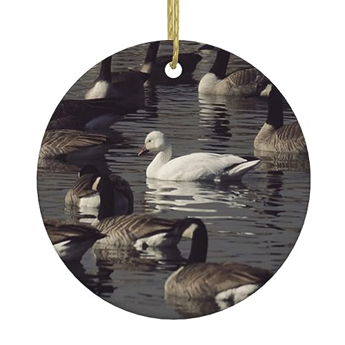 Gans Weihnachtsbaum Ornamente Runde Keramik Weihnachtsbaum Hängende Ornamente Doppelseitig Gedruckt für Home Holiday Party Dekorationen Gans Weihnachtsbaum Ornamente Runde Keramik Weihnachtsbaum Hängende Ornamente Doppelseitig Gedruckt für Home Holiday Party Dekorationen von OUSIKA