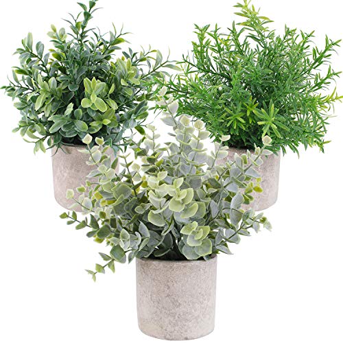 OUTLEE Künstliche Mini-Topfpflanzen, Eukalyptus-Pflanzen, Buchsbaum, Rosmarin, Grün in Töpfen, kleine Zimmerpflanzen für Zuhause, Büro, Schreibtisch, Dusche, Raumdekoration, 3 Stück von OUTLEE