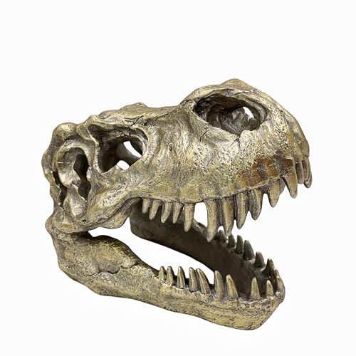 OUTOUR Tyrannosaurus Rex Fossilreplik für Zuhause Bürodekoration Man-Cave Sammlertisch oder Faux-Taxidermie-Trophäe (Harz) von OUTOUR