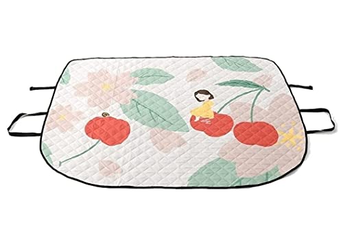 OUYUE Picknickdecke für Barbecue Multifunktionale Tragbare Picknick-Campingdecke, Matte Faltbare Leichte Auto-Windschutzscheiben-Sonnenblende-Autoabdeckung Stranddecke Camping(C) von OUYUE