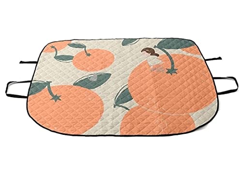 OUYUE Picknickdecke für Barbecue Multifunktionale Tragbare Picknick-Campingdecke, Matte Faltbare Leichte Auto-Windschutzscheiben-Sonnenblende-Autoabdeckung Stranddecke Camping(D) von OUYUE