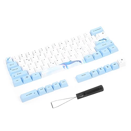 OVAQUIXI 73 PBT 73 Keycaps, Sublimation Mechanical Keyboard Accessory, Five-Faced Dyed, den Tastaturdekorationen anpassbar (6064 Qiongyu) von OVAQUIXI