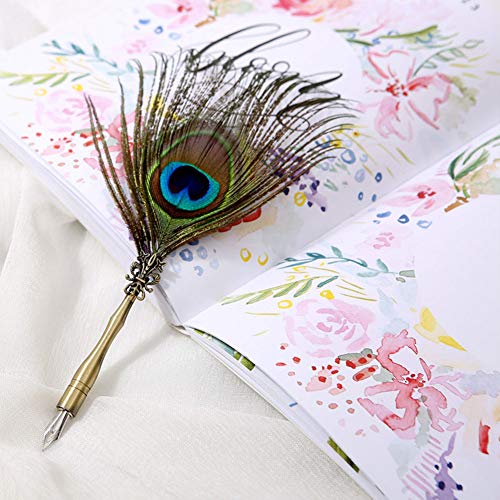 OVAQUIXI Briefpapierbox mit 5 Nibs - Kalligraphie Pfauendip Dip Feel Stift Schreiben Tinte Set für Künstlerisches Schreiben von OVAQUIXI