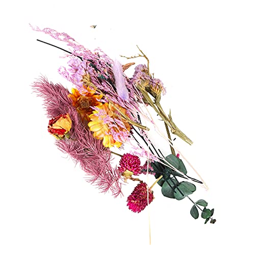 OVAQUIXI Bunte Getrocknete Blumen Natürliche Blumenstraußmaterial für Handgefertigtes Blütenzubehör, für Blumendekoration und -basteln, Packung von 3,5 G/Packung, Ideal für DIY-Projekte und (Lila OVAQUIXI Bunte Getrocknete Blumen Natürliche Blumenstraußmaterial für Handgefertigtes Blütenzubehör, für Blumendekoration und -basteln, Packung von 3,5 G/Packung, Ideal für DIY-Projekte und (Lila von OVAQUIXI
