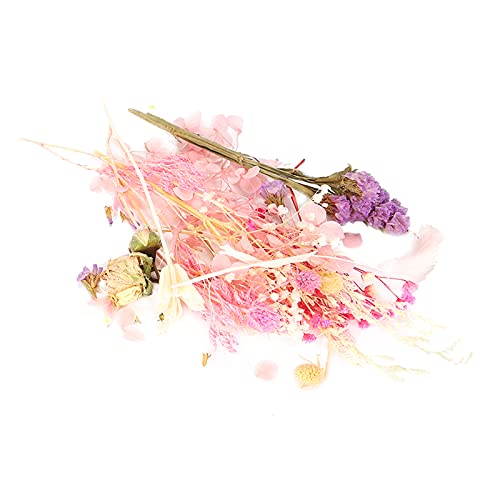 OVAQUIXI Bunte Getrocknete Blumen Natürliche Blumenstraußmaterial für Handgefertigtes Blütenzubehör, für Blumendekoration und -basteln, Packung von 3,5 G/Packung, Ideal für DIY-Projekte und (Rosa OVAQUIXI Bunte Getrocknete Blumen Natürliche Blumenstraußmaterial für Handgefertigtes Blütenzubehör, für Blumendekoration und -basteln, Packung von 3,5 G/Packung, Ideal für DIY-Projekte und (Rosa von OVAQUIXI