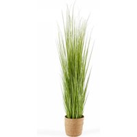 Oviala - Kunstpflanze Wildkraut Carex, Höhe: 155 cm, Oà¯ko Grün - Grün von OVIALA