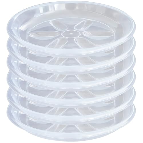 OVZILKI Pflanzen-Untersetzer, 30,5 cm, 6 Stück transparente Pflanzentropfschalen, Pflanzteller zum Auffangen von Wasser für Zimmerpflanzen, Pflanzentwässerungsschale für Pflanzgefäße OVZILKI Pflanzen-Untersetzer, 30,5 cm, 6 Stück transparente Pflanzentropfschalen, Pflanzteller zum Auffangen von Wasser für Zimmerpflanzen, Pflanzentwässerungsschale für Pflanzgefäße von OVZILKI