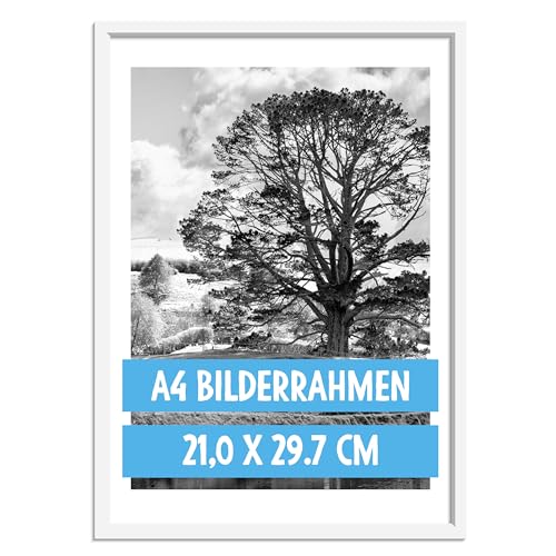 OWLBOOK® Bilderrahmen 20x30 A4 Holzbilderrahmen in Weiß | Holz Rahmen Fotorahmen | Echtholzrahmen | 1 Stück von OWLBOOK