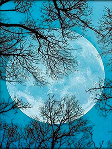 Kreuzstich-Set, geprägt, OWN4B Mond, Nacht, Baum, gedrucktes Muster, 11 CT, 36,1 x 46 cm, DIY-Stickset (Mond) von OWN4B