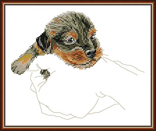 OWN4B Kreuzstich-Set, geprägt, Katzen-Muster, 11 Ct, 30 x 30 cm, DIY-Stickset (Hund) von OWN4B
