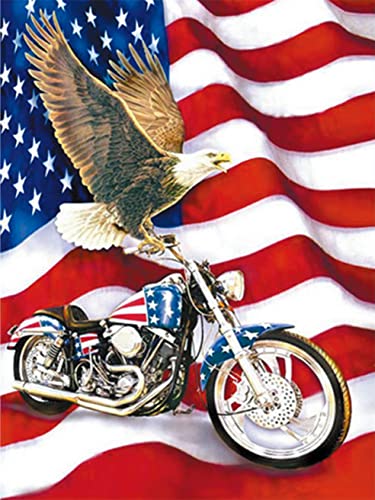 OWN4B Kreuzstich-Set, geprägt, Motorrad und Flagge, gedrucktes Muster, 11 CT, 36,1 x 46 cm, DIY-Stickset (Motorrad) von OWN4B